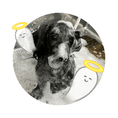 genmayu_20210722101703