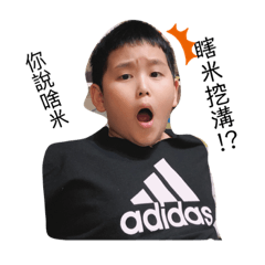亮亮弟
