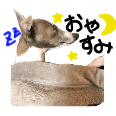 arisa_20210721183934