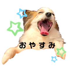 hana_20210721192957