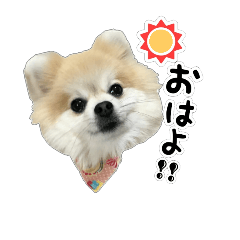 ponsan.2