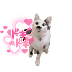 suzu_20210721233330