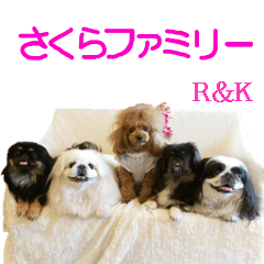 Sakura Family R & K
