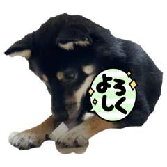 yuka_20210722140457