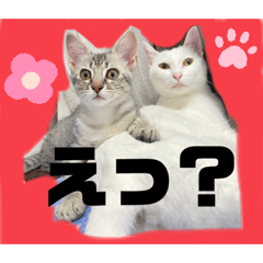 Sayuri_20210721200944