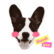 Frenchbulldog.