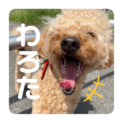 asuka_20210722143348