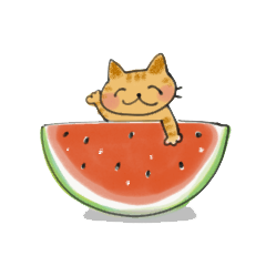 summer cat's  sticker