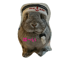 rabbit fuu's stamp