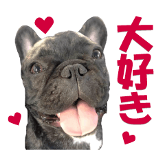 French bulldog and cat sticker