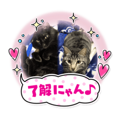 ススキとえむじ