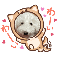Hello_20210722125548