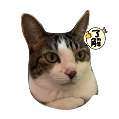 asuka_20210722120425