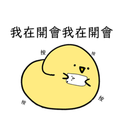 小雞party!各式各樣的小雞