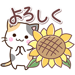 Cute Calico cat 25