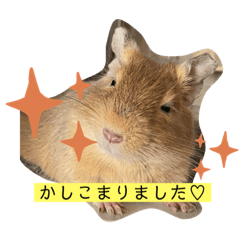 yuka_20210722174759