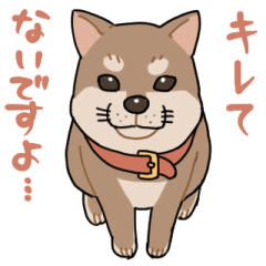 栄島の犬スタンプ