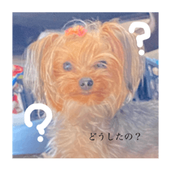 KAORI_20210721235124