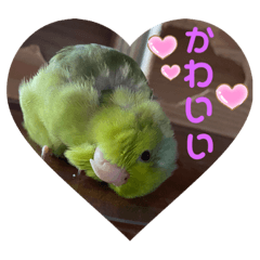 sayuri_20210722205920