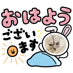 siro_20210722212407