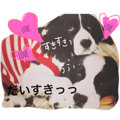 indy and lusty