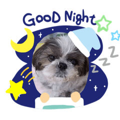 melon_20210722230442