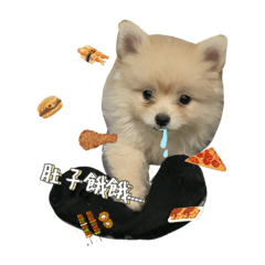 小肉球ㄉ日子
