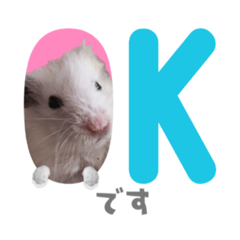 akiko_20210722182329