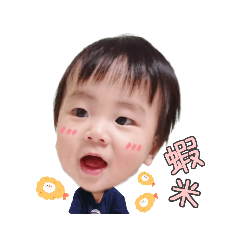 我是小酪梨❤實用版