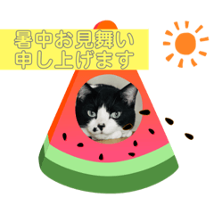 aoi_20210723102747