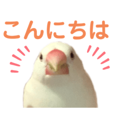 Omochimochimochibuncho
