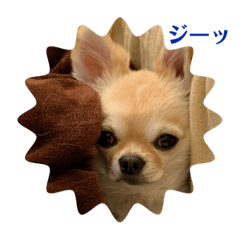 momoko_20210722211635