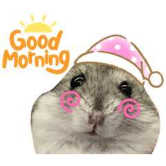 nanami_20210722212628