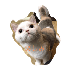 Miki_20210722171245