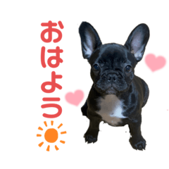 mimi_20210722212948