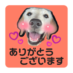 chihiro_20210722223132