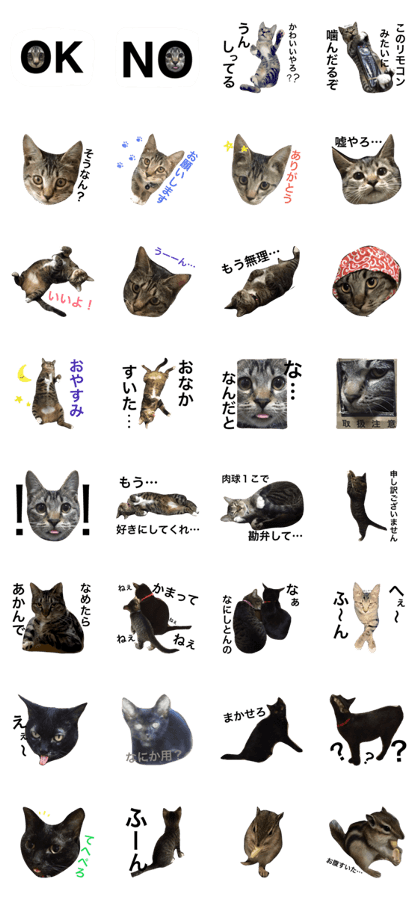 my..animals