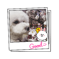 mizuki_20210723114802