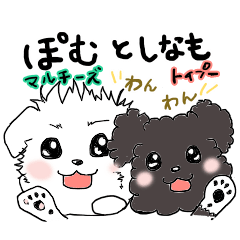 Pet dog 1 (pom&cinnamo)