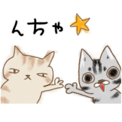 cats kii&puu Summer jokes sticker