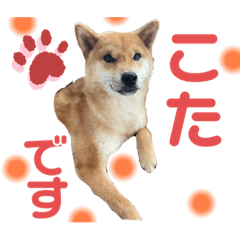 Chihiro_20210722221046