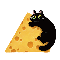 black cat_ cheese