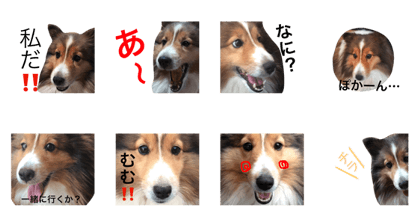 Stamp of a dog.
