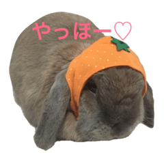 Melcoco's sticker Ver 2