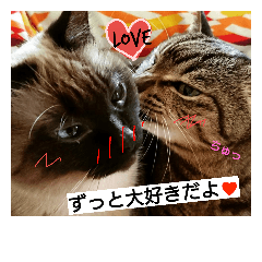 cat & dog sticker 1