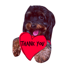 Dog Lovie
