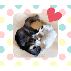 aoi_20210723134026