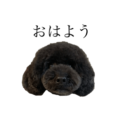 Hello OREO