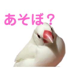 Omochi___mochi_mochi