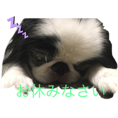 sayuri_20210723094751